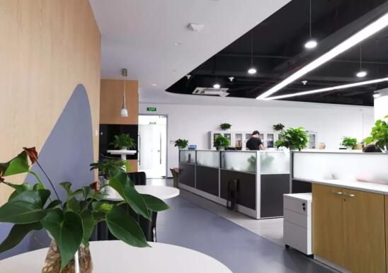 青島市北區(qū)企業(yè)管理公司簡(jiǎn)歐風(fēng)格辦公室裝修效果圖